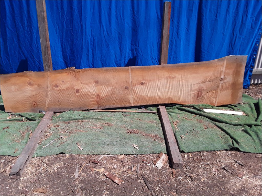 Qld Kauri Pine (TS370QKP)