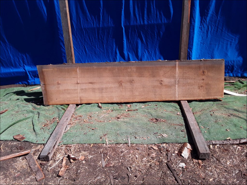 Qld Kauri Pine (TS380QKP)