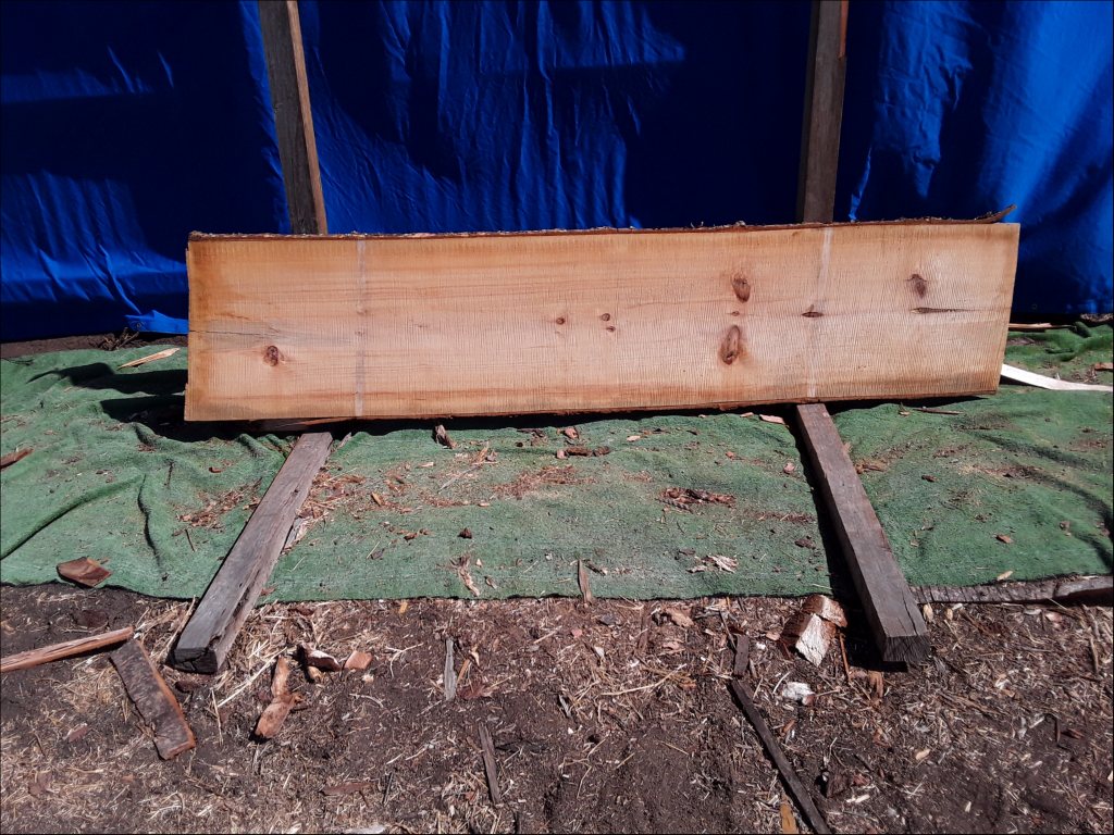 Qld Kauri Pine (TS380QKP)