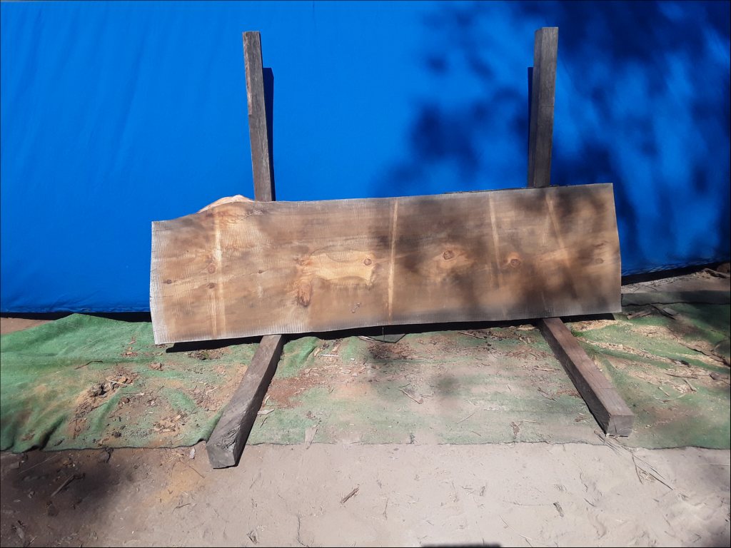 Qld Kauri Pine (TS433QKP)