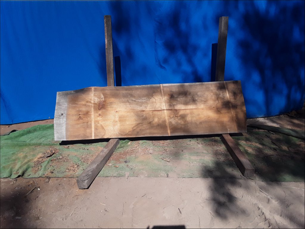 Qld Kauri Pine (TS434QKP)