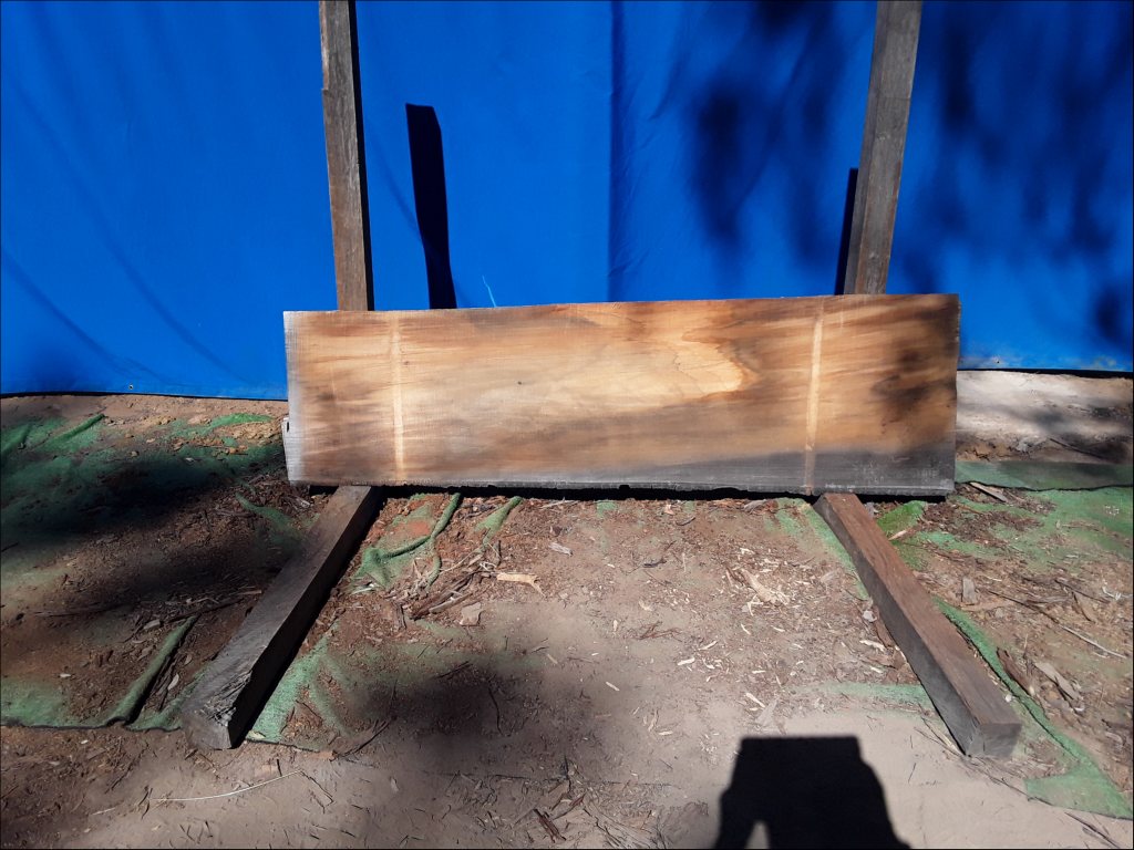 Qld Kauri Pine (TS524QKP)