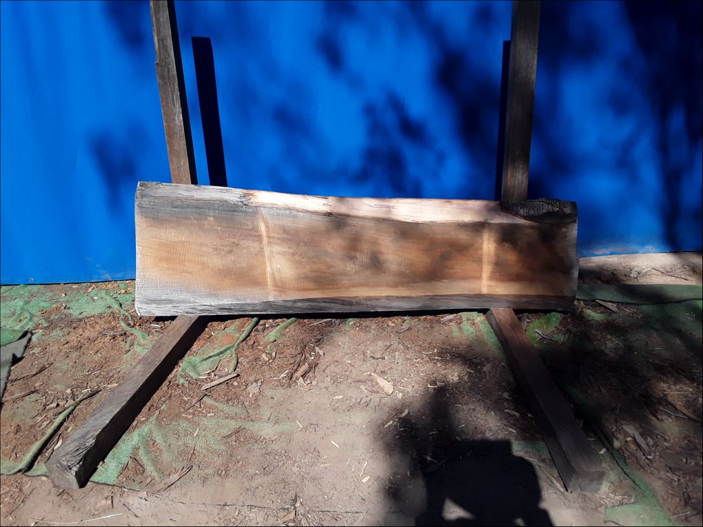 Qld Kauri Pine (TS525QKP)