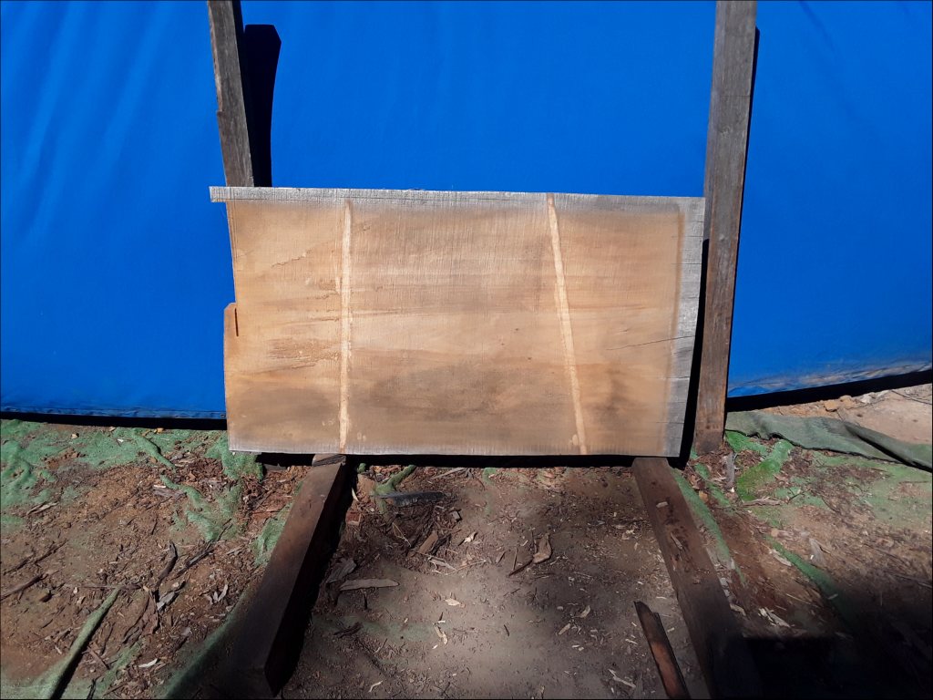 Qld Kauri Pine (TS527QKP)