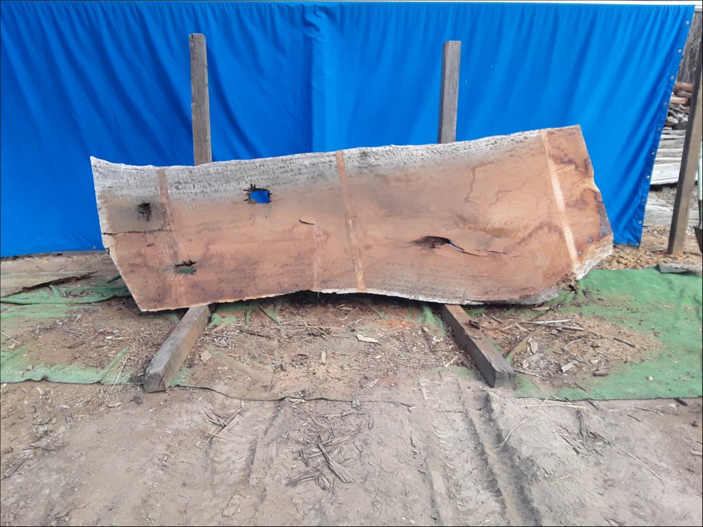 Forest Red Gum (TS553FRG)