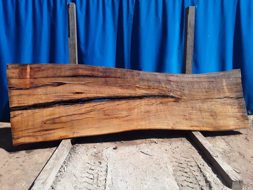 Blackbutt (TS643SBG)