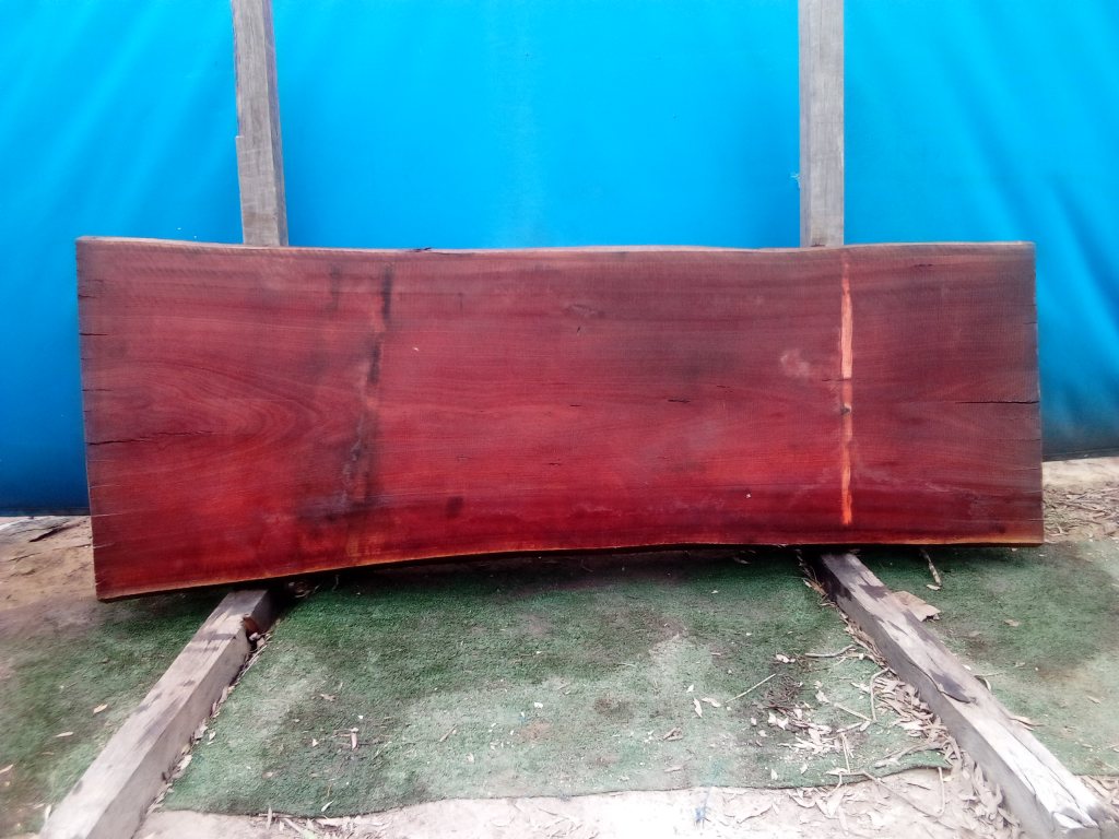 Sydney Blue Gum (TS685SBG)