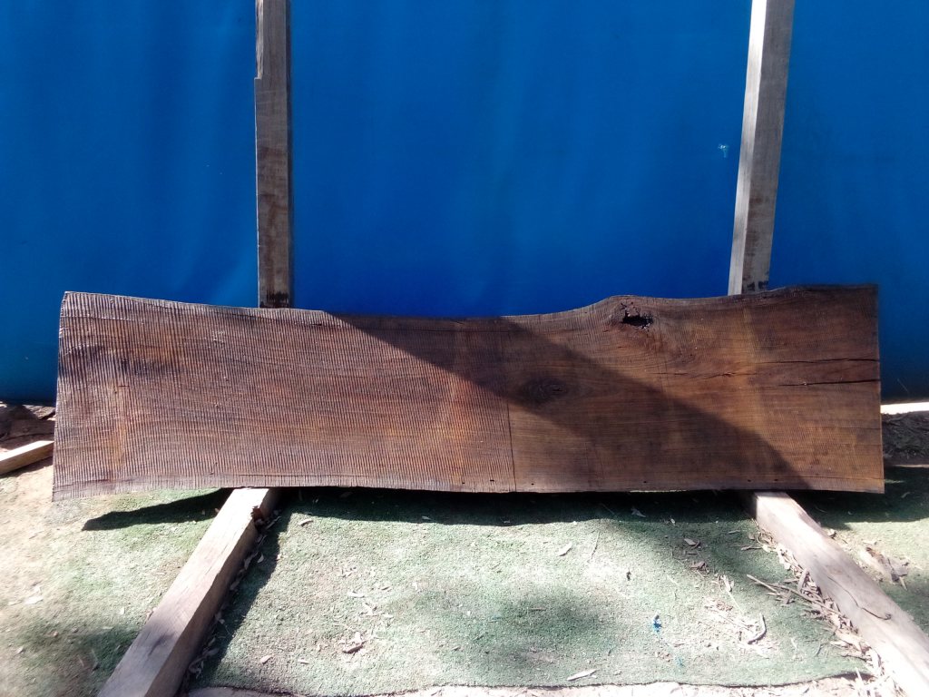 Blackbutt (TS691B)