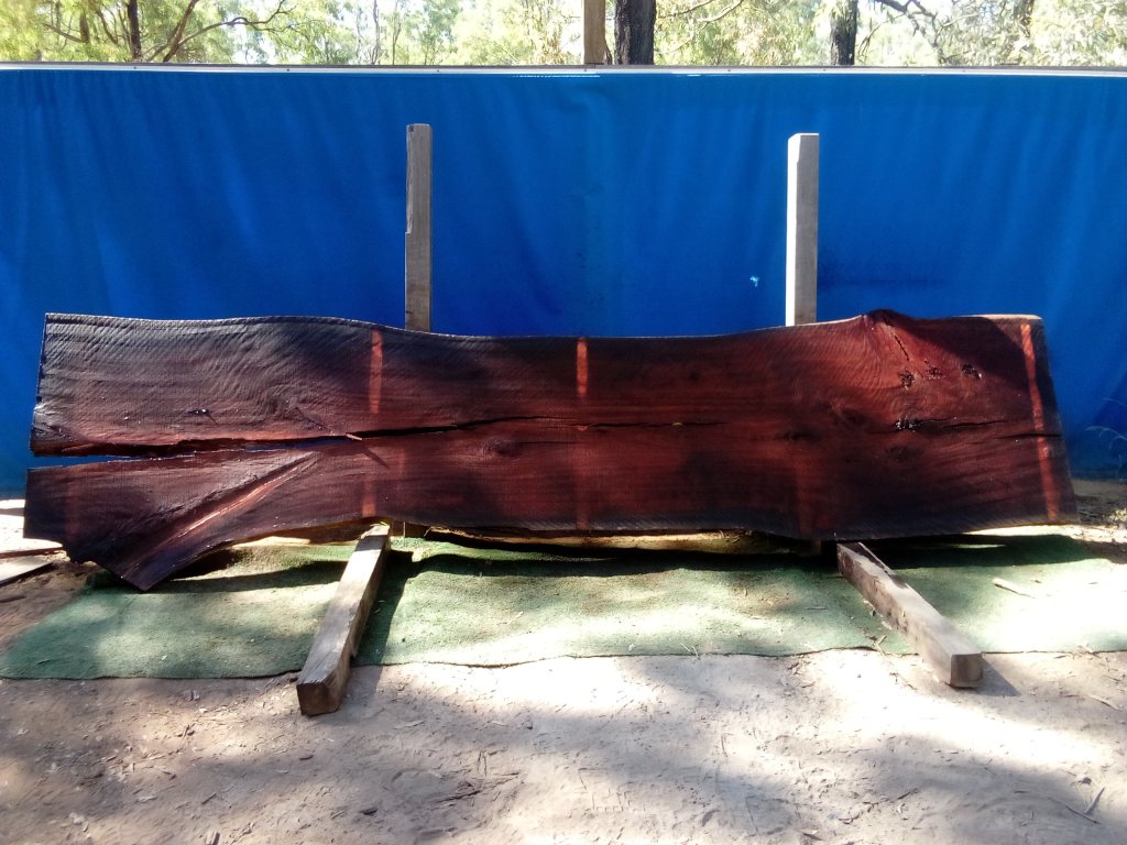 Sydney Blue Gum (TS702SBG)