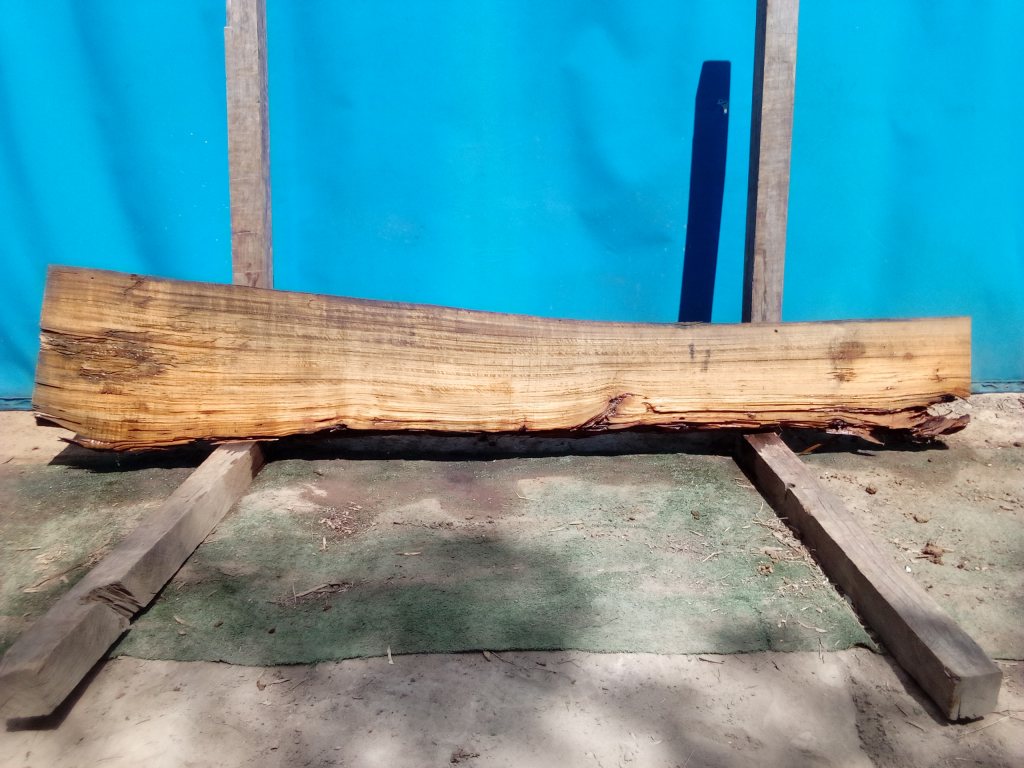 Blackbutt (TS790B)