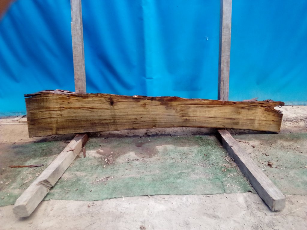 Blackbutt (TS790B)