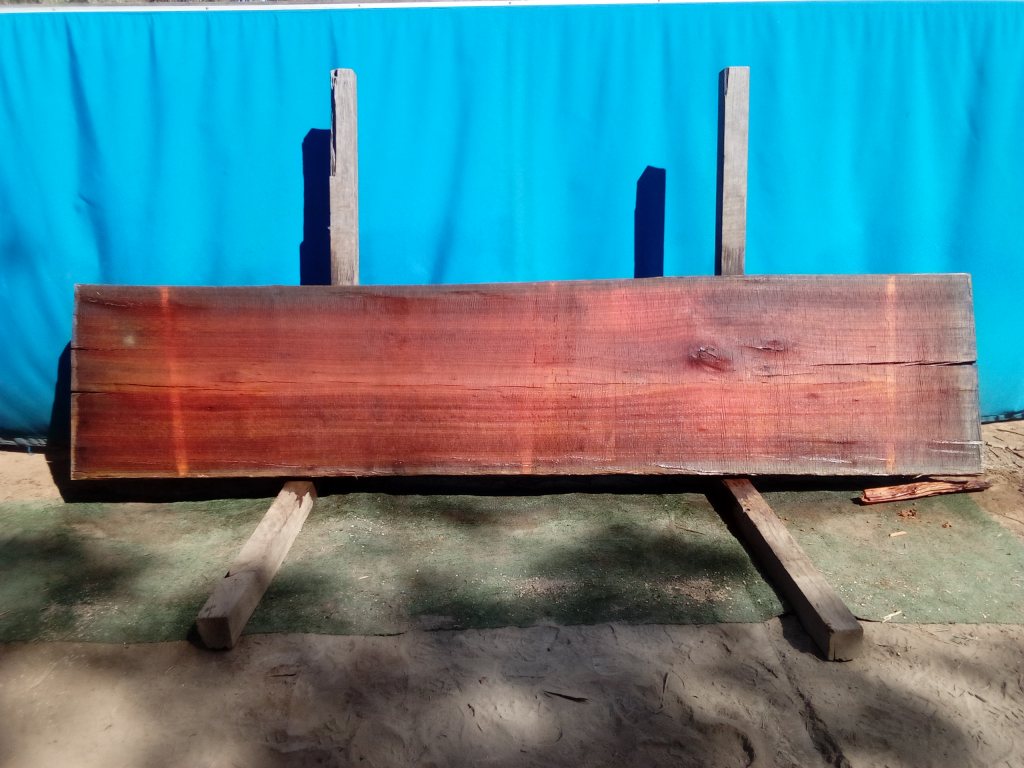 Sydney Blue Gum (TS812SBG)