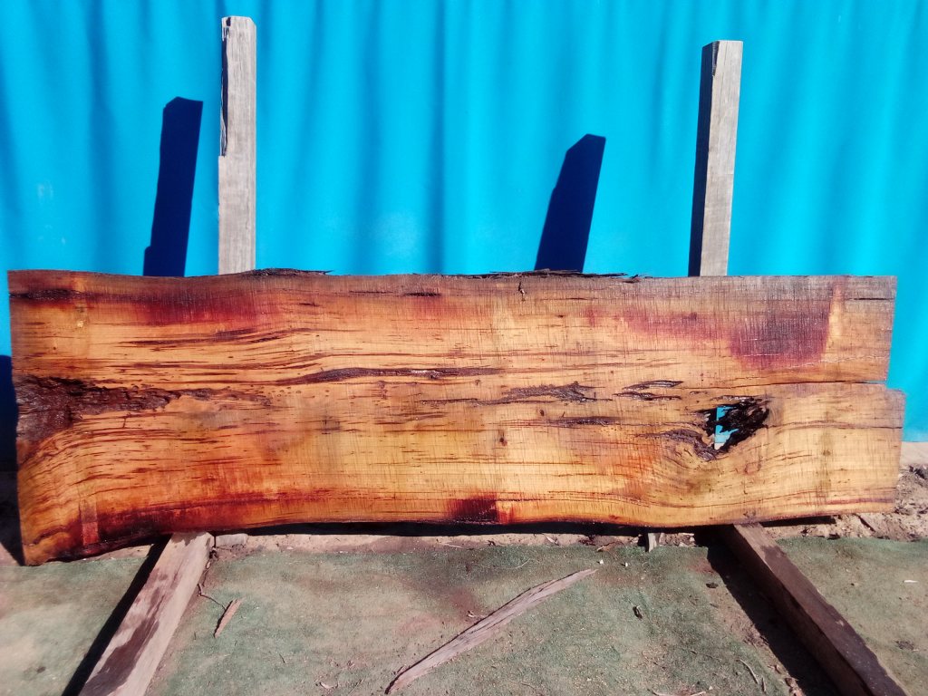 Blackbutt (TS858B)