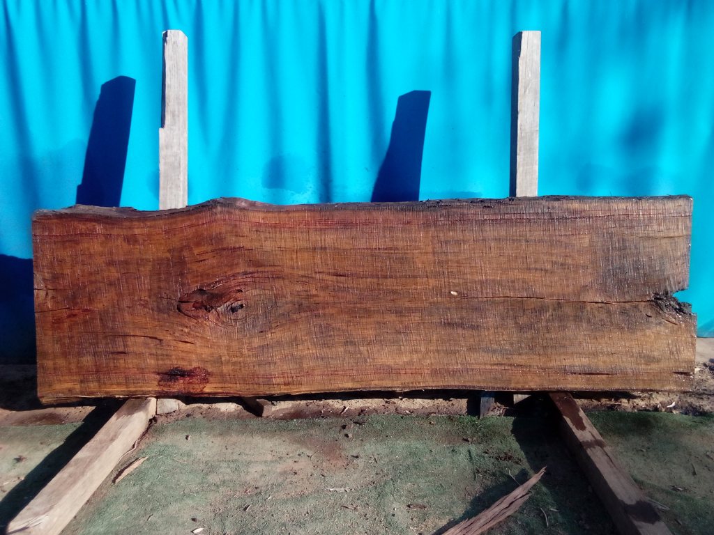 Blackbutt (TS861B)