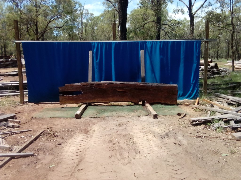 Blackbutt (TS888SBG)