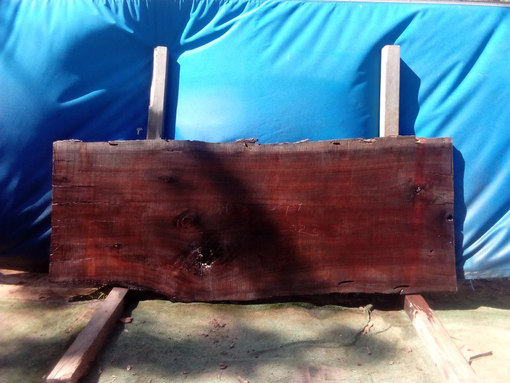 Sydney Blue Gum (TS935SBG)